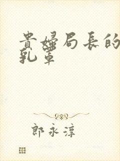 贵妇局长的蕾丝乳罩