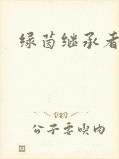 绿茵继承者封面