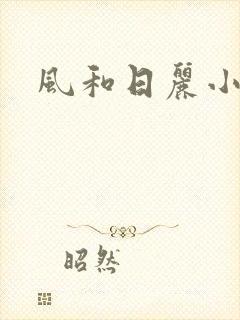 风和日丽小说