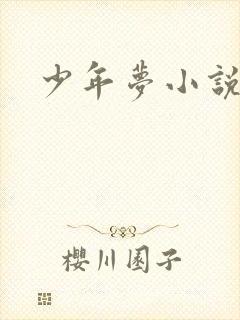 少年梦小说