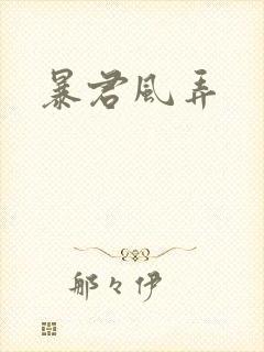 暴君风弄封面