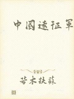 中国远征军小说