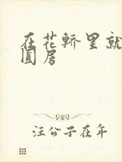 在花轿里就开始圆房封面