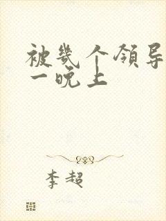 被几个领导玩弄一晚上