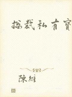 总裁私有宝贝封面