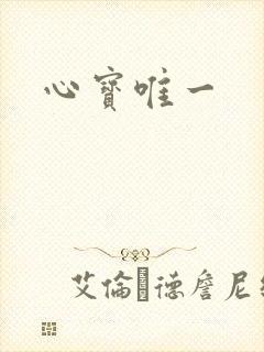 心宝唯一