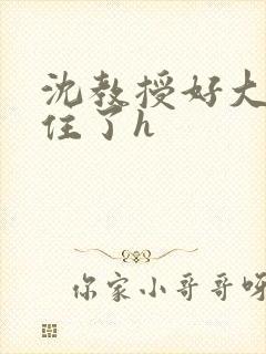 沈教授好大含不住了h封面