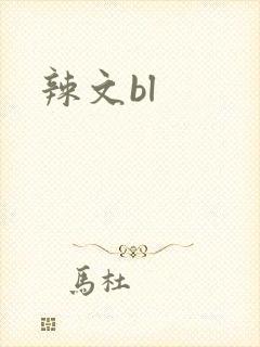 辣文bl封面