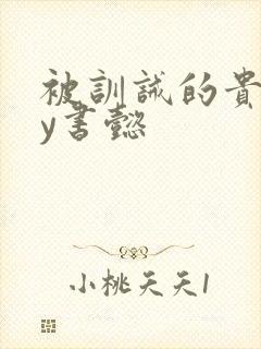 被训诫的贵妃by书懿封面