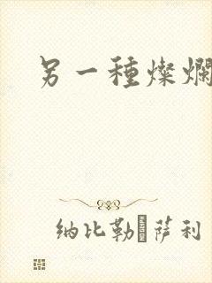 另一种灿烂生活封面