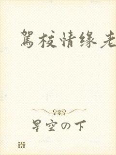 驾校情缘老赵封面