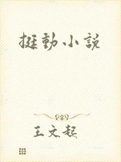 挺动小说