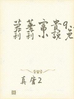 荣华富贵9小王莉莉小说免费阅读