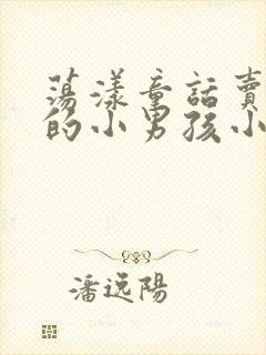 荡漾童话卖火柴的小男孩小说封面