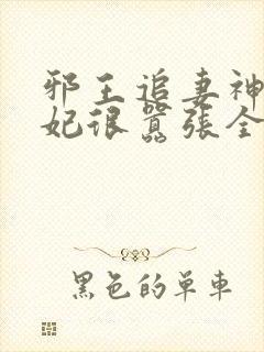 邪王追妻神医狂妃很嚣张全文免费