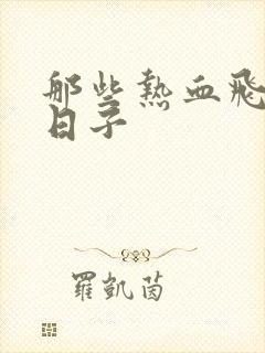 那些热血飞扬的日子封面