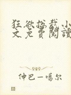 狂欲总裁小说全文免费阅读封面