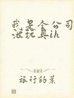 我是全公司的发泄玩具ih