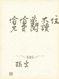 偷偷藏不住小说免费阅读