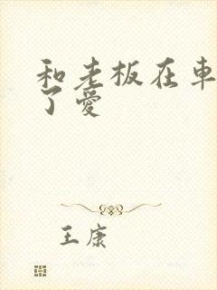 和老板在车里做了爱