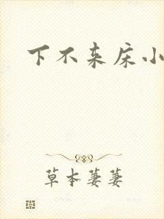下不来床小说