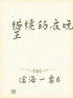 缠绕的夜晚双男主