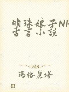 明珠娘子NPC古言小说