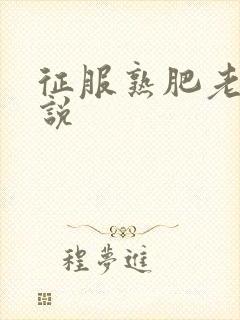 征服熟肥老妇小说封面