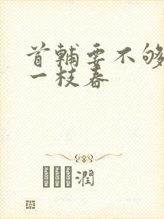 首辅要不够po一枝春封面