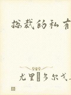 总裁的私有宝贝