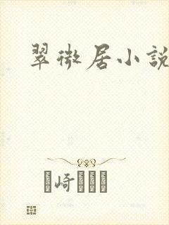 翠微居小说