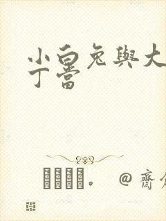 小白兔与大灰狼丁当