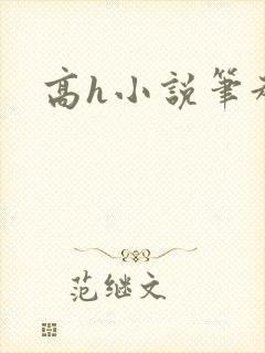 高h小说笔趣阁封面