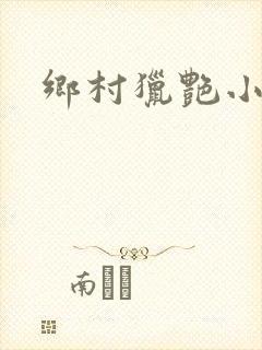 乡村猎艳小说封面