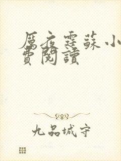 厉夜霆苏小汐免费阅读