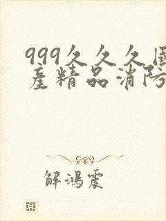 999久久久国产精品消防器材