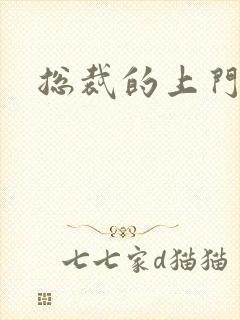 总裁的上门女婿封面