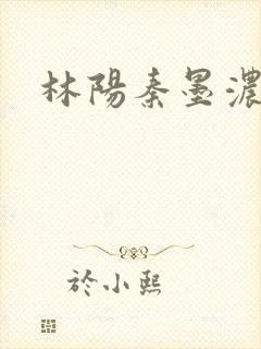 林阳秦墨浓度封面