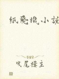纸飞机小说