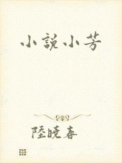 小说小芳封面