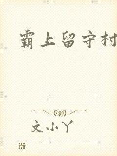 霸上留守村妇封面