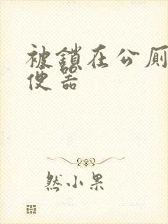 被锁在公厕当坐便器