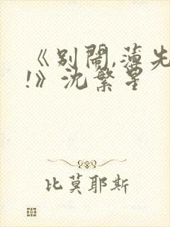 《别闹,薄先生!》沈繁星