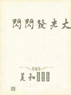 闪闪发光大团结封面