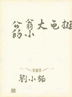 公翁大龟挺进我的小