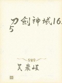 刀剑神域16.5封面