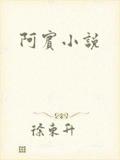 阿宾小说