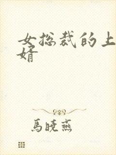 女总裁的上门女婿