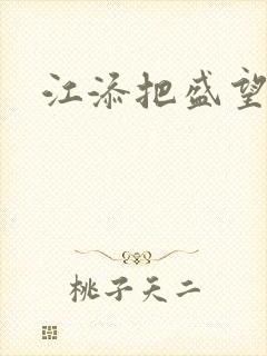 江添把盛望顶哭封面