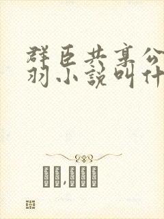 群臣共享公主银羽小说叫什么